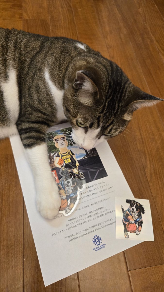 trigger812's tweet photo. 「これはボクのです。(=ﾟωﾟ=)」
フリースローゲームでもらったうーちゃんを気に入ったようです。

🏆賞名：指つり御免！秘技うーちゃん無双賞

ありがとうございました😭

#ワンダオフリースロー https://t.co/2X0Cht42ny