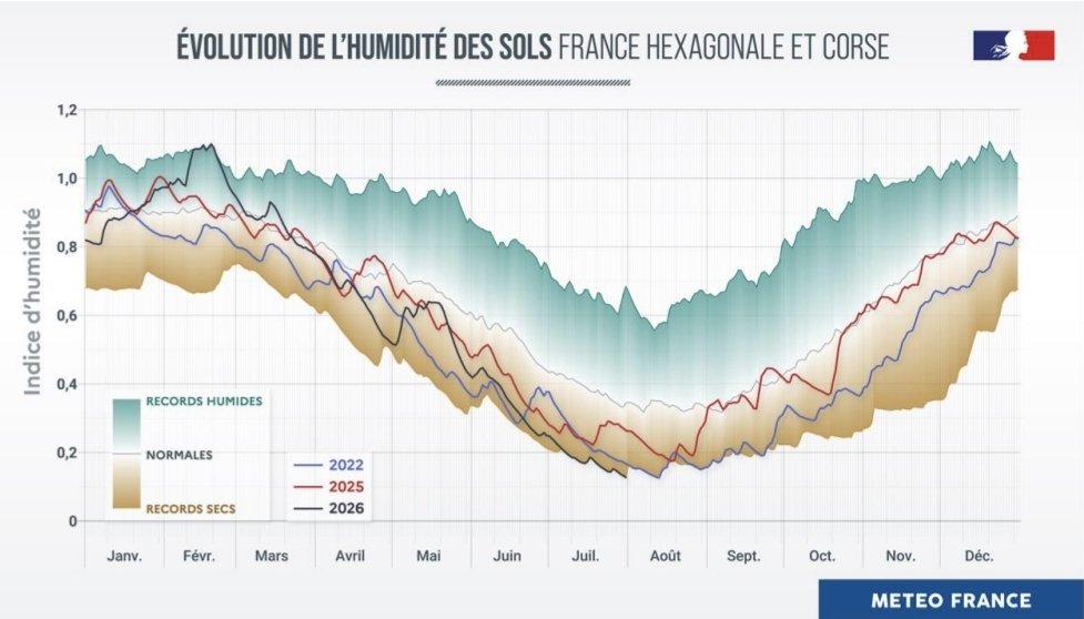 nicolasberrod's tweet photo. 💧 Canicule + soleil + très peu de pluie : sécheresse des sols qui s'aggrave et atteint des niveaux historiques.

Bilan complet : https://t.co/UeVPc5dLrp

4/4 https://t.co/VsuV48K0GJ