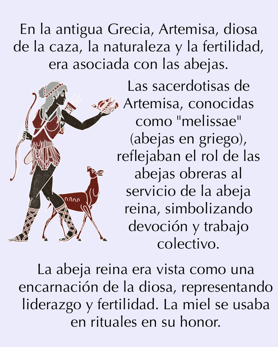 antonieta_AMC's tweet photo. ¿Sabías que en la mitología la abeja reina era vista como una manifestación divina? 🐝 Símbolo de creación, su miel era considerada un néctar sagrado.

Gracias a las maravillosas propiedades de nuestra miel, intentamos reivindicar su legado y valor divino.