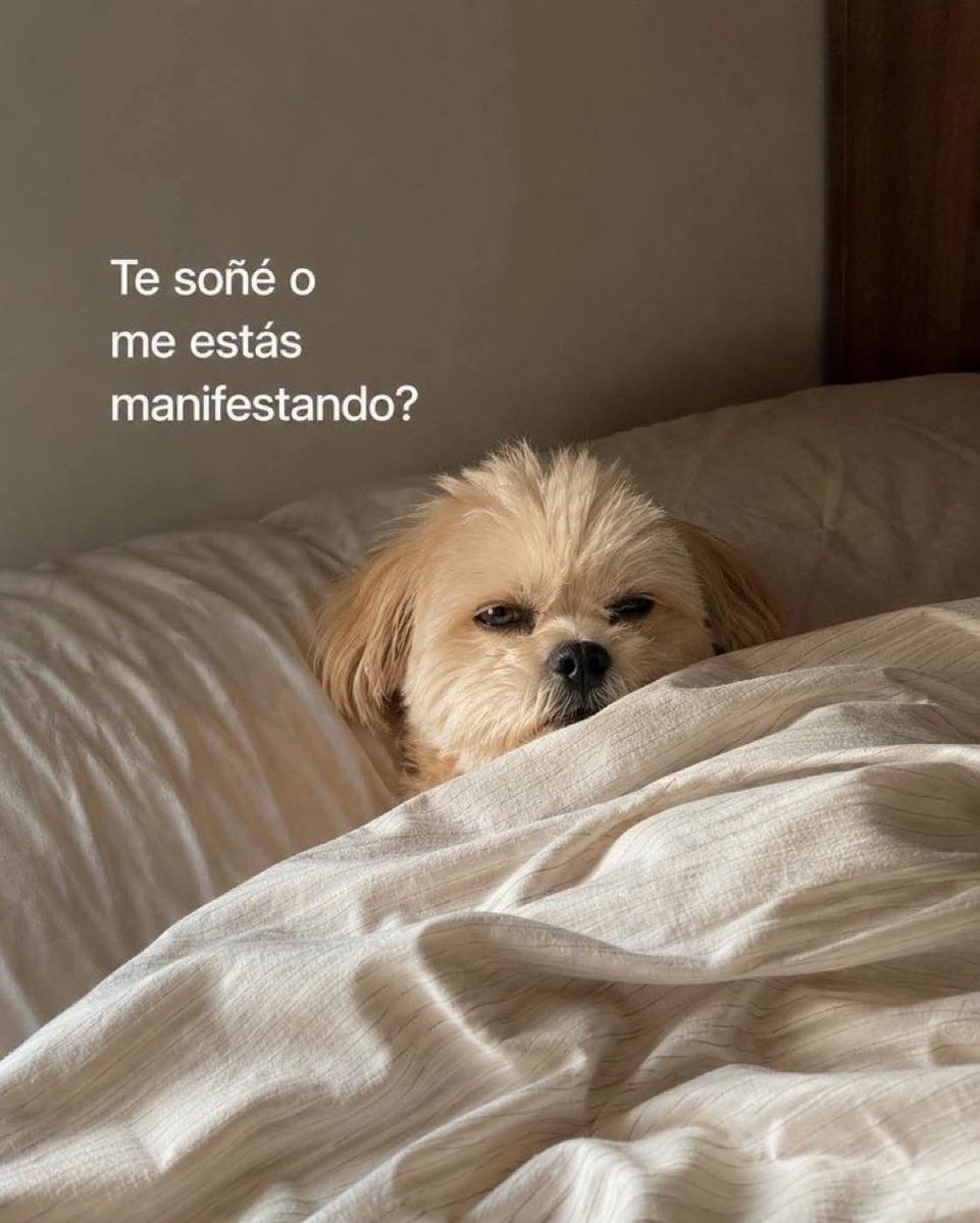 itextosoff's tweet photo. ??? https://t.co/JGfdfF0wnd