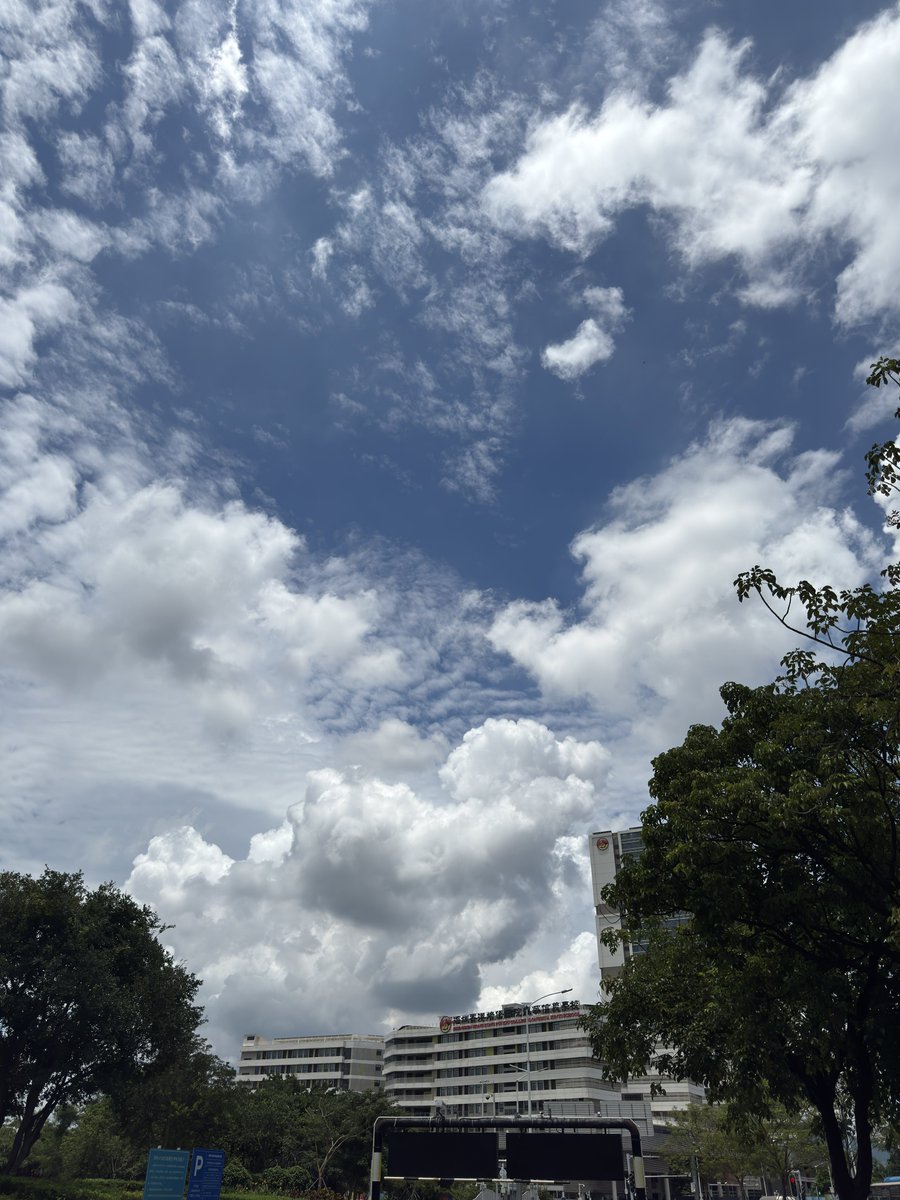 SummerBug0120's tweet photo. 只要不下雨就是炎热潮湿的天气 https://t.co/LlQRtEEi2A