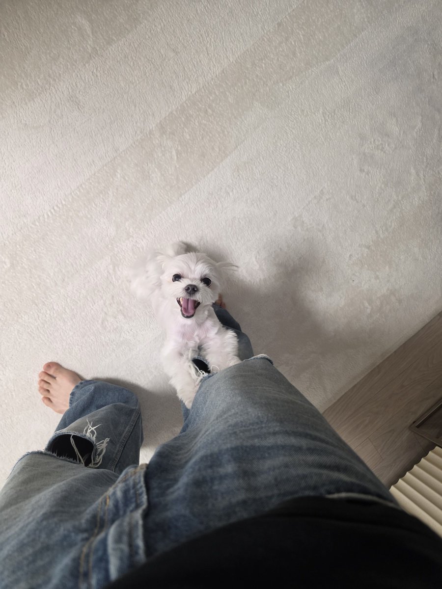 bluumne's tweet photo. 기분 겨울이만큼 좋음 https://t.co/jV1ZlxcpBa