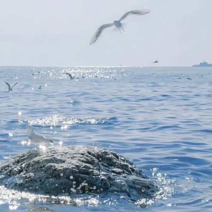 calmlivng's tweet photo. ☆🐚∴｡* ･ﾟ🫧🐚*｡★･🌊 🫧　
🌊🫧☆｡★　🫧･ 　　* ☆ ｡･ﾟ🐚*.｡ https://t.co/F5i8Lg9JWW