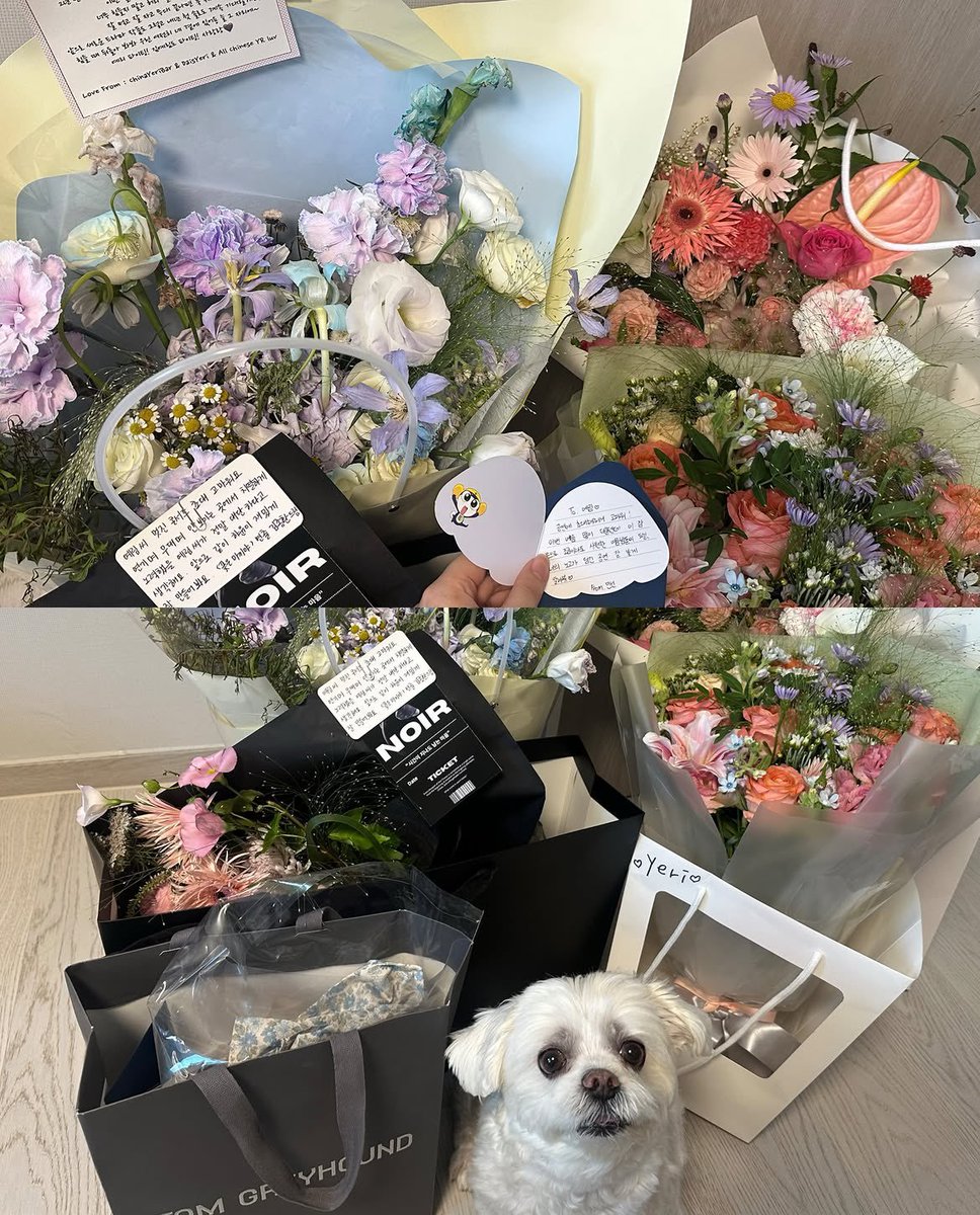 luvyrrv's tweet photo. [UNCONFIRMED]

It looks like Kim Yerim will be starring in drama 'Flowers are bait' (based on a web novel). Her character name will be Hayeon! The drama is scheduled to air on Seoul Broadcasting System (SBS).

#예리 #YERI #김예림 #KIMYERIM https://t.co/U2FYxAszOW