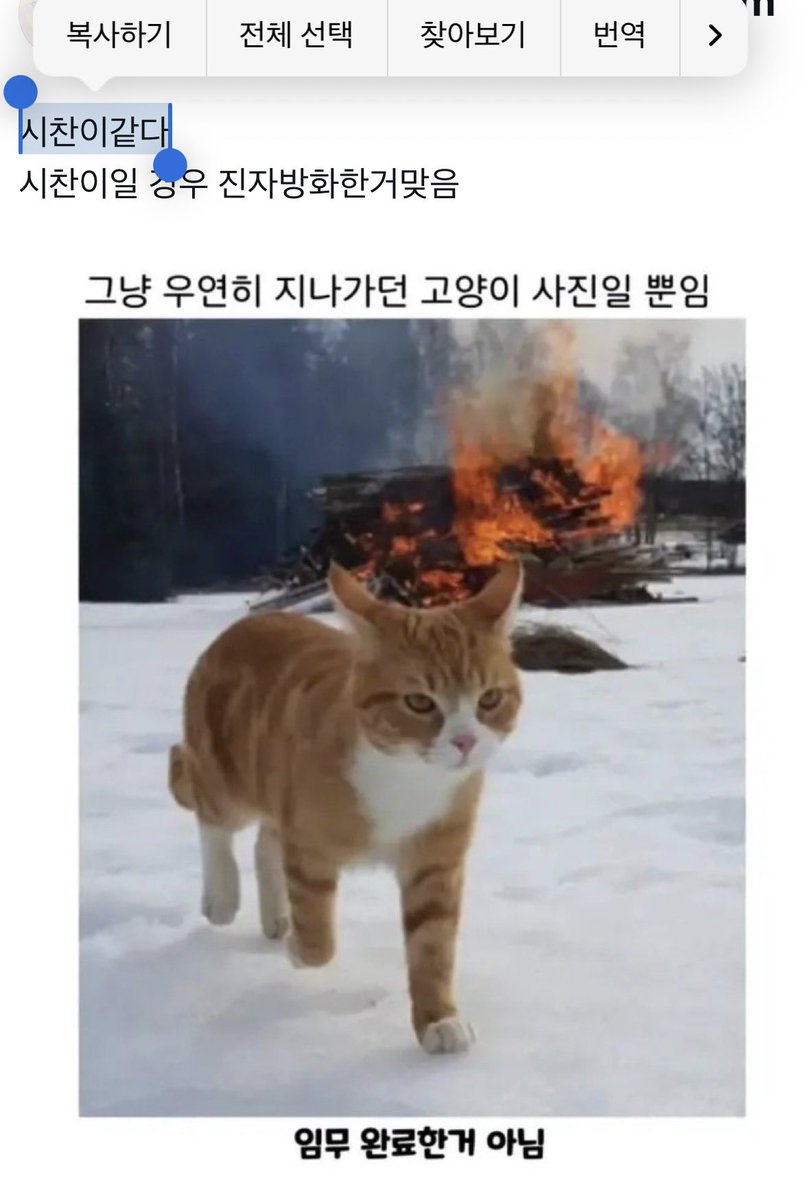 Latto_o's tweet photo. 원본짤// 티친이 말한거 보고 그렸듬 https://t.co/arU9UeFUX2