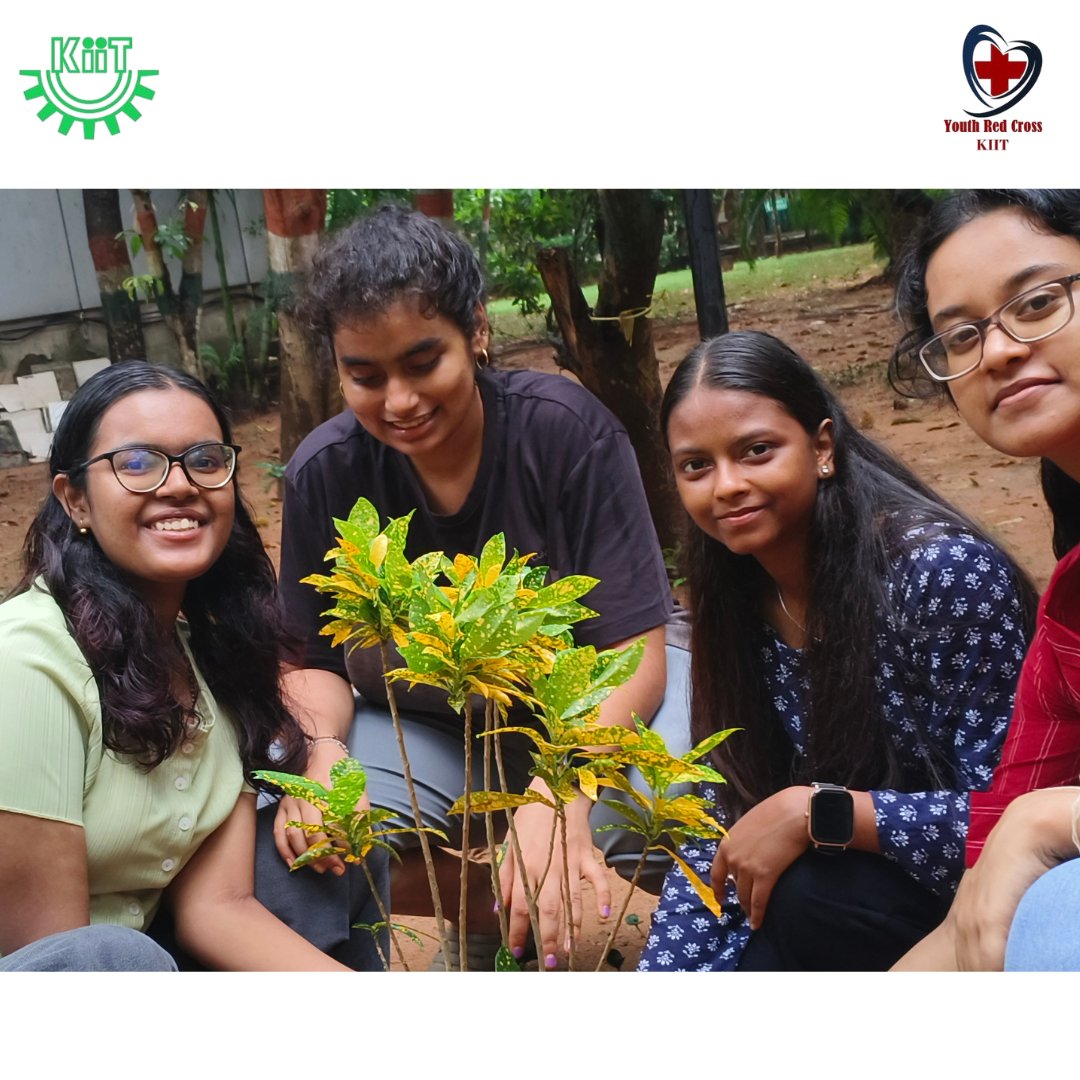 yrckiit_bbsr's tweet photo. Rooting for a greener tomorrow.🪴
#achyutasamanta #kiituniversity #kiitimpacts #redcrosssociety #bhubaneswar #odisha #india https://t.co/hdsfNxSMzw