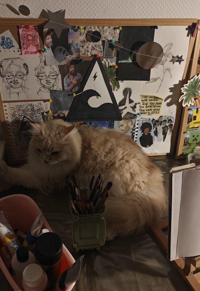 byraneem's tweet photo. 🐈 https://t.co/41kiJIC4oF