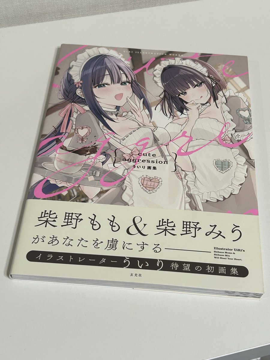 sibattini's tweet photo. 待ちに待ったういり先生の画集が届いた！
直筆サインだけでも嬉しいのに為書きまでいれていただいてホント幸せー
家宝にします！ https://t.co/49zmqtQZ6E