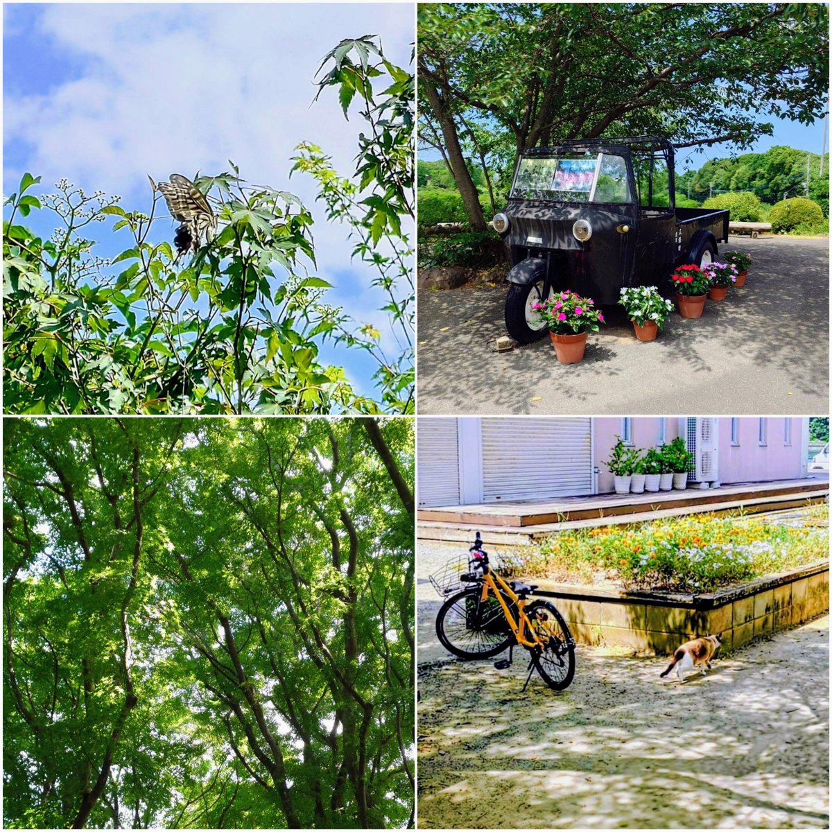 houju888's tweet photo. ある夏の日の島

#熊本と共に 🇯🇵
#StandWithUkraine 🇺🇦 https://t.co/JlIpxXI6mK