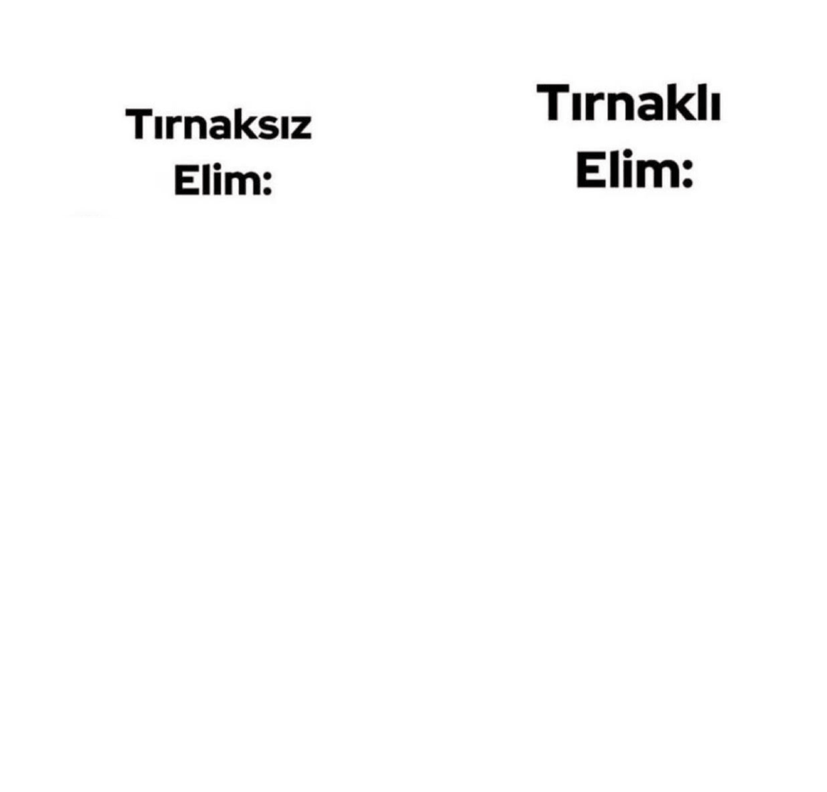 kalpperisii's tweet photo. C2 TIRNAK SORUNU SEVİYESİ https://t.co/d7kSlzqYvk