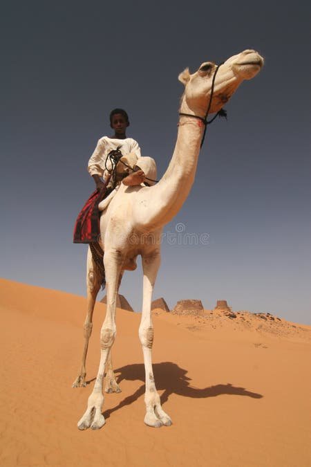 SudaneseCulture's tweet photo. Sudanese Young Boy Sitting on a Back of His Camel With Kushite Pyramids in The Background - Sudan.

#SudsneseCulture 
#ثقافة_سودانية https://t.co/KssF3lMI0N