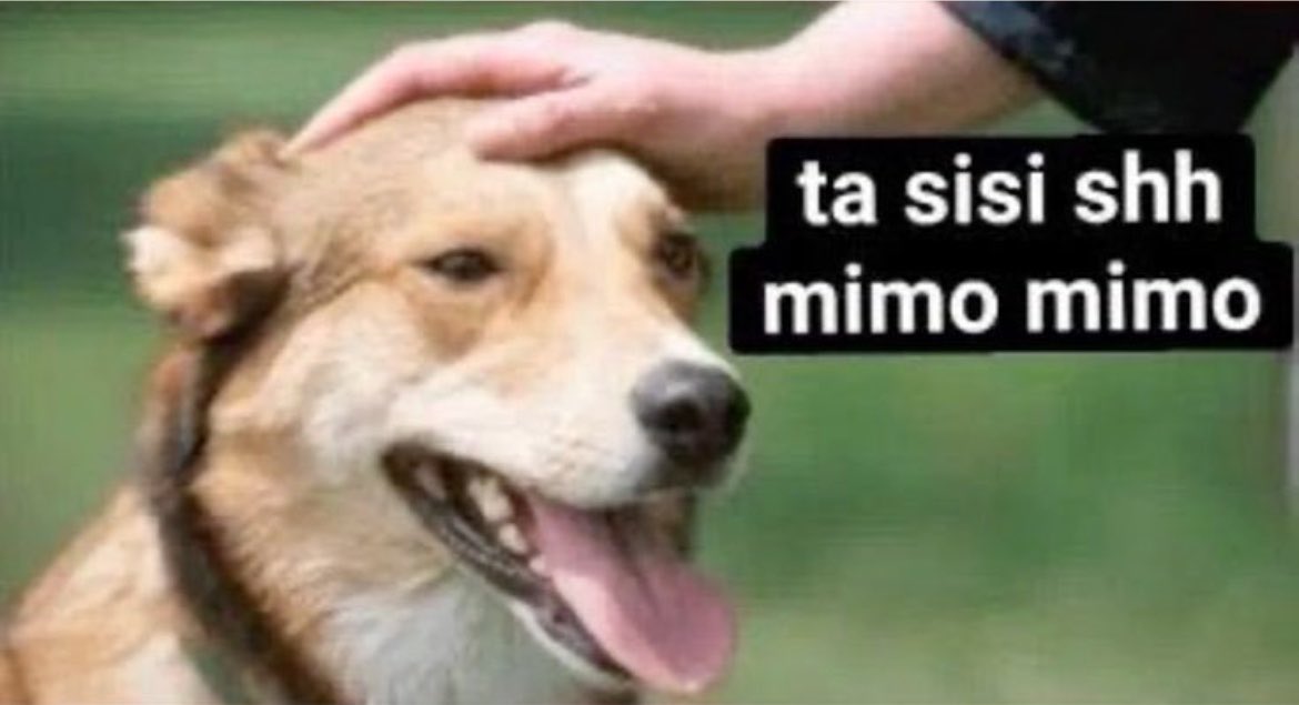 agostina1908's tweet photo. @altranque @Antesquenadie__ Claramente estás con ganas de pelear por algo que ni siquiera miras se nota lo boludito que sos. Así que voy a proceder a dejarte que sigas https://t.co/zOFEPzFAx3
