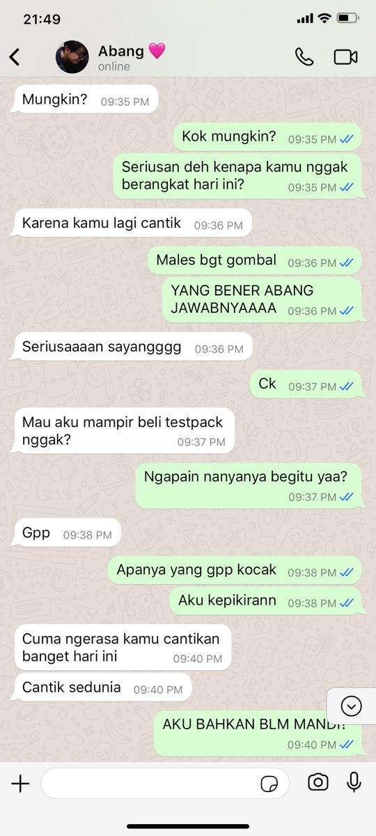 catpenters's tweet photo. Emang nggak ada yang tau isi chat rumah tangga orang, abang hamdan dan malewifenya itu. (anggep aja jamnya pagi) https://t.co/zmKEfm2Raz