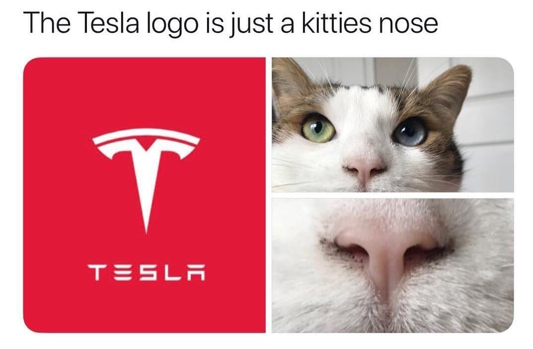 Leo_is_simple's tweet photo. @elonmusk @elonmusk is this true ?? https://t.co/XcusYZs2hh