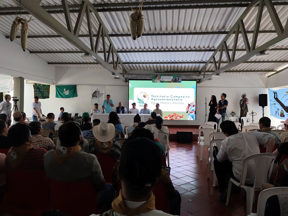 CNA_Colombia's tweet photo. #EnEsteMomento 🤠 | Inician las Audiencias Públicas de tres Territorios Campesinos Agroalimentarios (TECAM), articulados al CNA:

📍 Tuta Xua: Tierra de Unidad y Lucha (Sogamoso). 📍 Agua, Monte y Páramo del Oriente Antioqueño. 📍 Lucha Campesina (La Gloria y Pelaya, Cesar).

Las jornadas cuentan con la participación de las asociaciones y organizaciones que han impulsado la construcción de los #TECAM, así como de delegaciones de la @AgenciaTierras y @MinAgricultura.