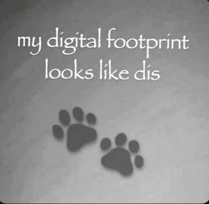 valentinessel's tweet photo. https://t.co/5pLReADkaz