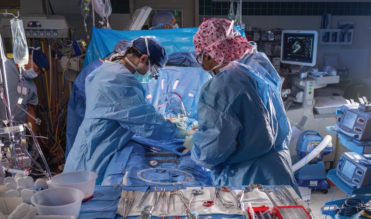 MedStarWHC's tweet photo. Big news! Our Cardiology, Heart &amp; Vascular Surgery program is ranked #1 in the D.C. region and #16 nationally by @usnews. 👏

We're also proud to be named the #1 hospital overall in the region. Congrats to our incredible team! 

Read more: https://t.co/hcB67KcI1k #BestHospitals https://t.co/Jh8lodTnN6