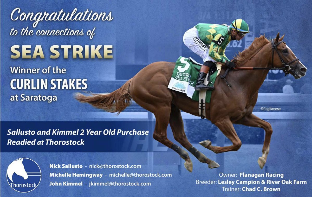 ThorostockLLC's tweet photo. 🚀 102 Beyer Speed Figure for SEA STRIKE'S sensational Curlin S. victory...that's the 2nd highest 2-turn Beyer by a 3YO in 2026!
🔵 Sea Strike is one of 6⃣ Stakes winners from the Thorostock program this year
#StockUp 🛶 #SallustoKimmel https://t.co/FZulcLyTlH