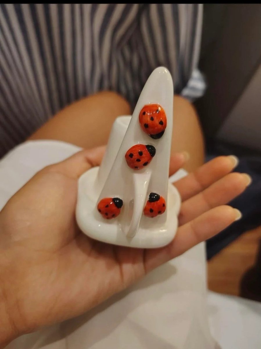 Idarabasimi's tweet photo. My friend got this as a wedding gift and we are completely stumped 😭

No note. No brand. Nothing.
The top is hollow like this _/ and the bottom is solid. There are two of them...one slightly bigger than the other.

First thought was a tea bag holder for the side of a glass… but it doesn’t feel right. No holes so it’s not a strainer. The gap is too narrow for paper towels or toilet paper.

They just moved to Italy and had their wedding there. Is this some Italian gadget we’re too confused to understand??

Someone please tell us what this is 😩