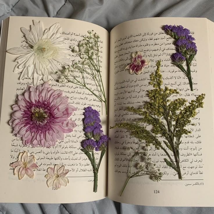 lunecrumbss's tweet photo. pressed flowers between pages https://t.co/E2lORljp8n