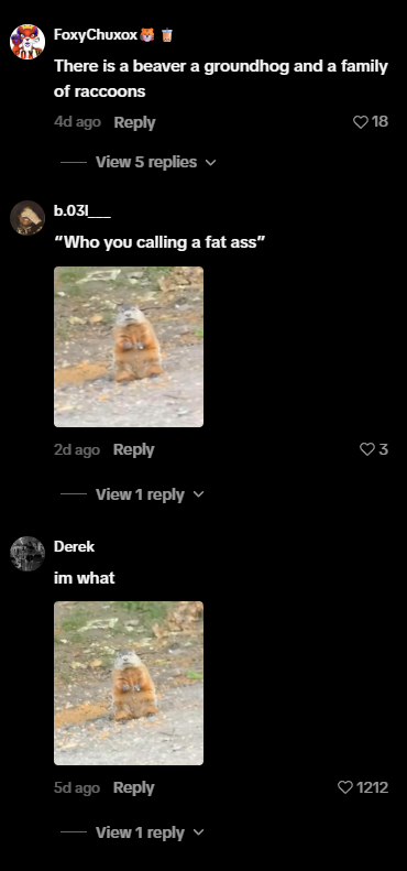 REDevonchain's tweet photo. This groundhog is getting viral for getting called fat ass the moment he was just chilling 😭

They're calling him CHONK too

https://t.co/sgTAju3neT https://t.co/wQIkUaRsqc