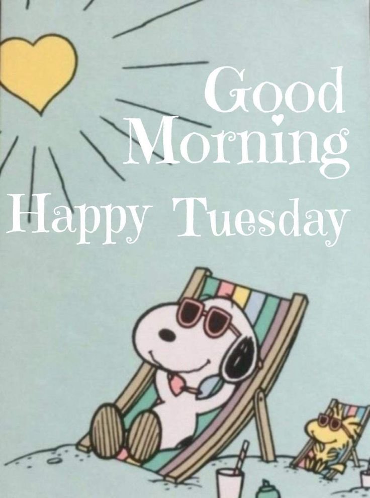 CBHConnection's tweet photo. Have a Terrific Tuesday Everyone! #TerrificTuesday #TuesdayMorning #TuesdayMotivation https://t.co/jFTAcajSIa
