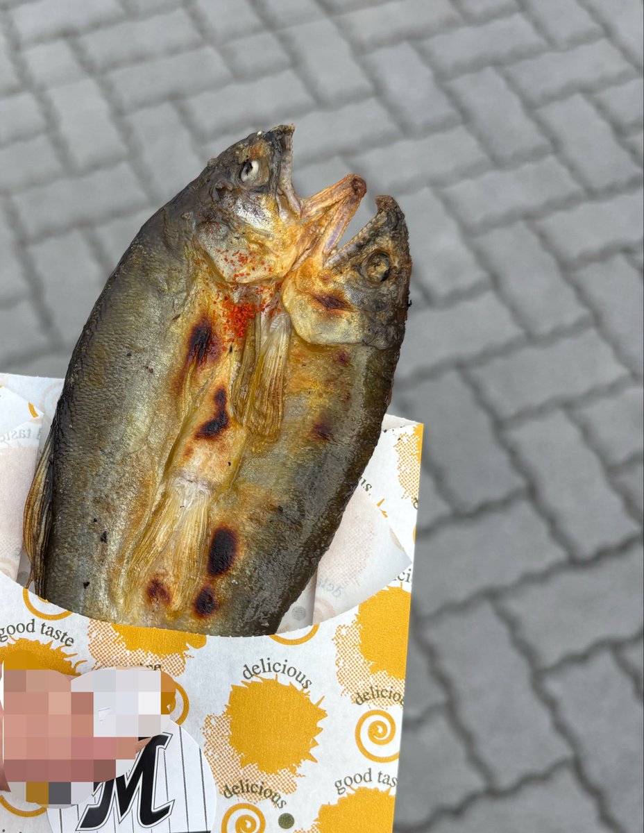 momo_msp's tweet photo. 今日最高だった…来て良かった… https://t.co/BvSAiODJQY