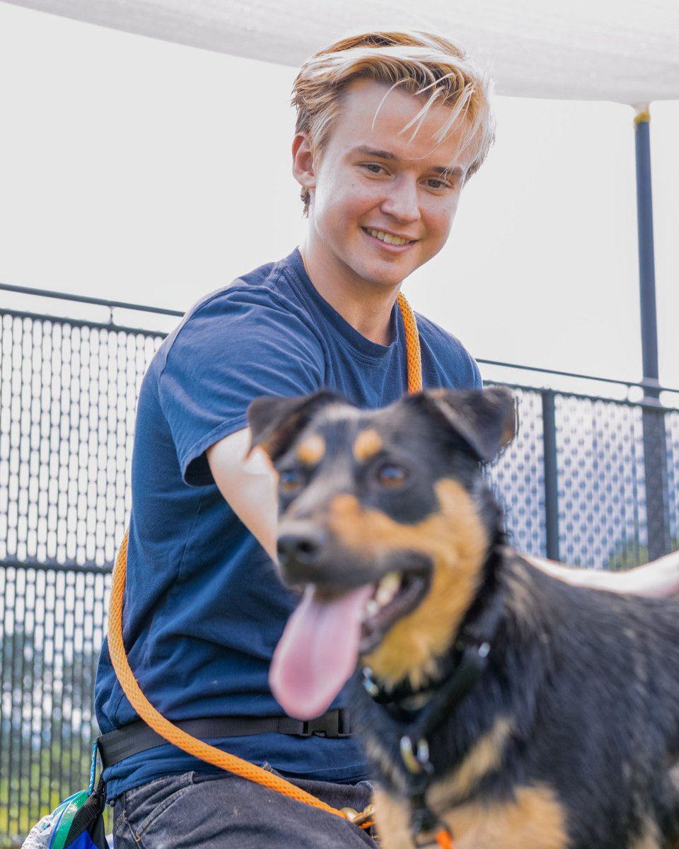 scoobybrasil's tweet photo. Maxwell Jenkins visitou um abrigo de cães resgatados na Carolina do Norte para incentivar sua adoção 🐶❤️ https://t.co/gzCLGR14jA