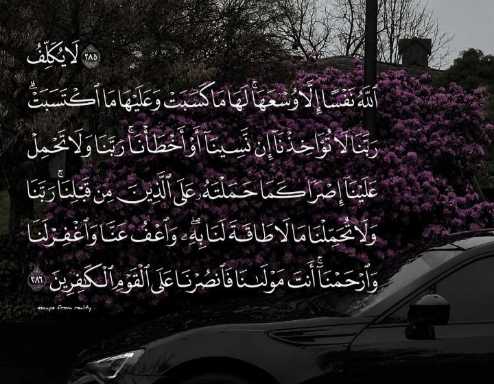 Fayza1424's tweet photo. 💜 https://t.co/Y3k4G7rM74
