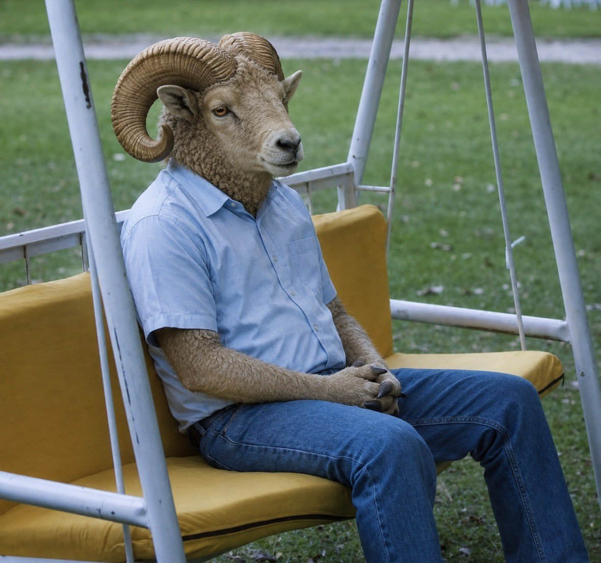 RamSolCTO's tweet photo. Ram is chill 😌 https://t.co/i7f33Yk228