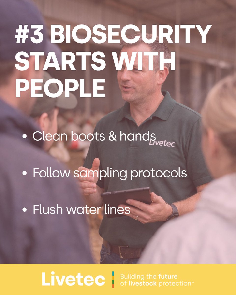 Livetecsystems tweet picture