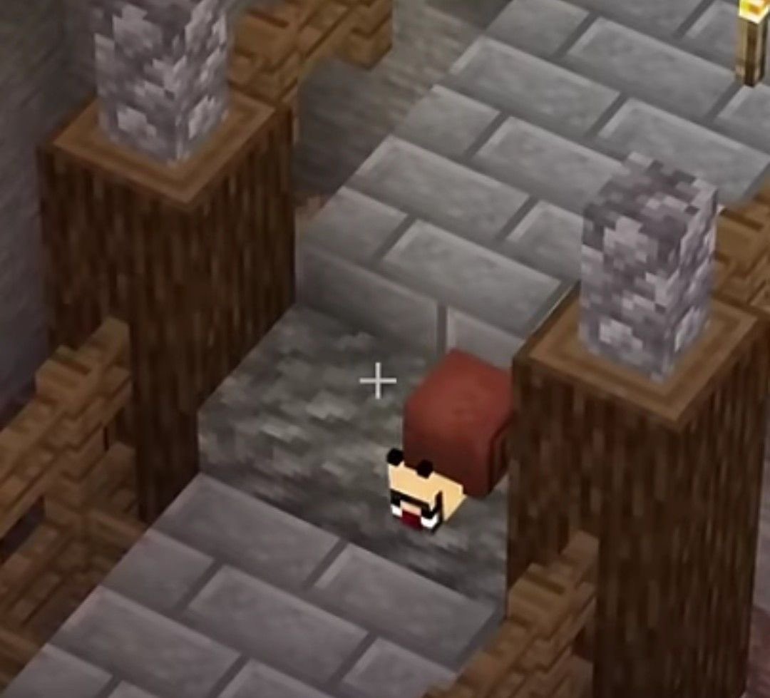 catsformumbo tweet picture
