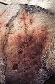 Druzon's tweet photo. @NobelPrize Hidden at quantum level.  Apparently you can translate the Prominant Chauvet Cave Symbolic Art ( which has been validated and verifued) publish it on YouTube, get the story globally covered by FOX News and the French will act like Don Quixote? https://t.co/TJeLsfBcL3