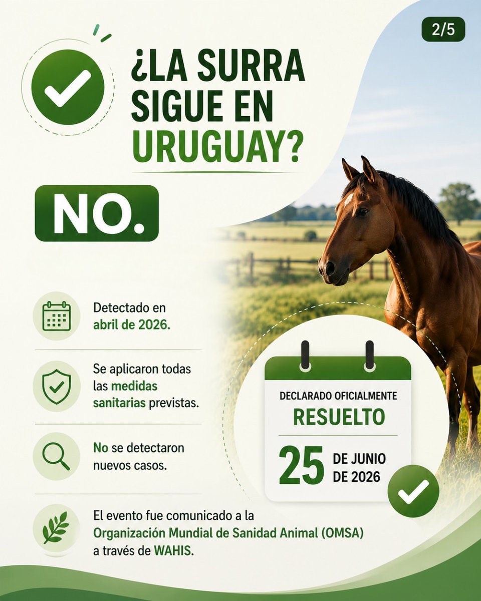 MGAPUruguay's tweet photo. ⏸️ La Dirección General de Servicios Ganaderos del #MGAP informa la suspensión temporal de certificaciones para exportaciones de equinos hacia la Unión Europea.

Más información: 👇
https://t.co/gcQjmjVyBo https://t.co/cxmMkgyqaV