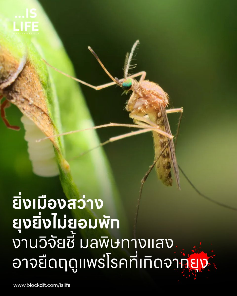 IsLife_Write tweet picture