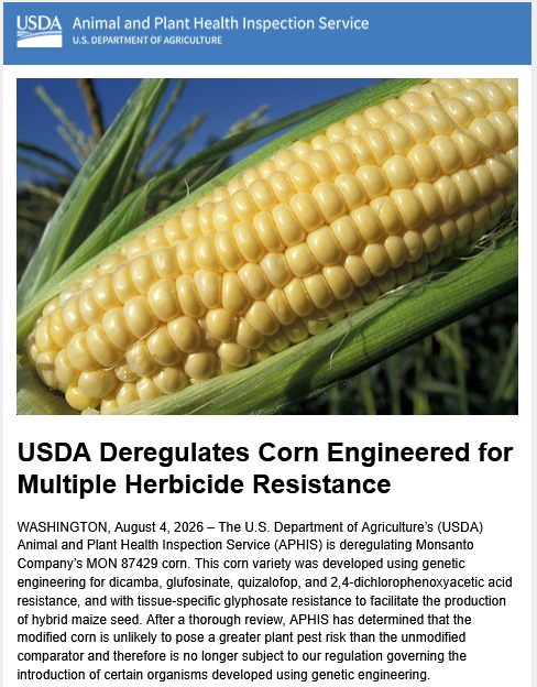 OrganicNewsClip's tweet photo. 米国農務省（USDA）は8月4日、モンサントの4種類の除草剤（ジカンバ、グルホシネート、キザロホップ、および2,4-D）に耐性のある遺伝子組み換えトウモロコシMON87429の規制なしでの栽培を承認。グリホサート系除草剤の過剰使用でグリホサートの効かないスーパー雑草への蔓延対応 https://t.co/9KRq1bq3PN