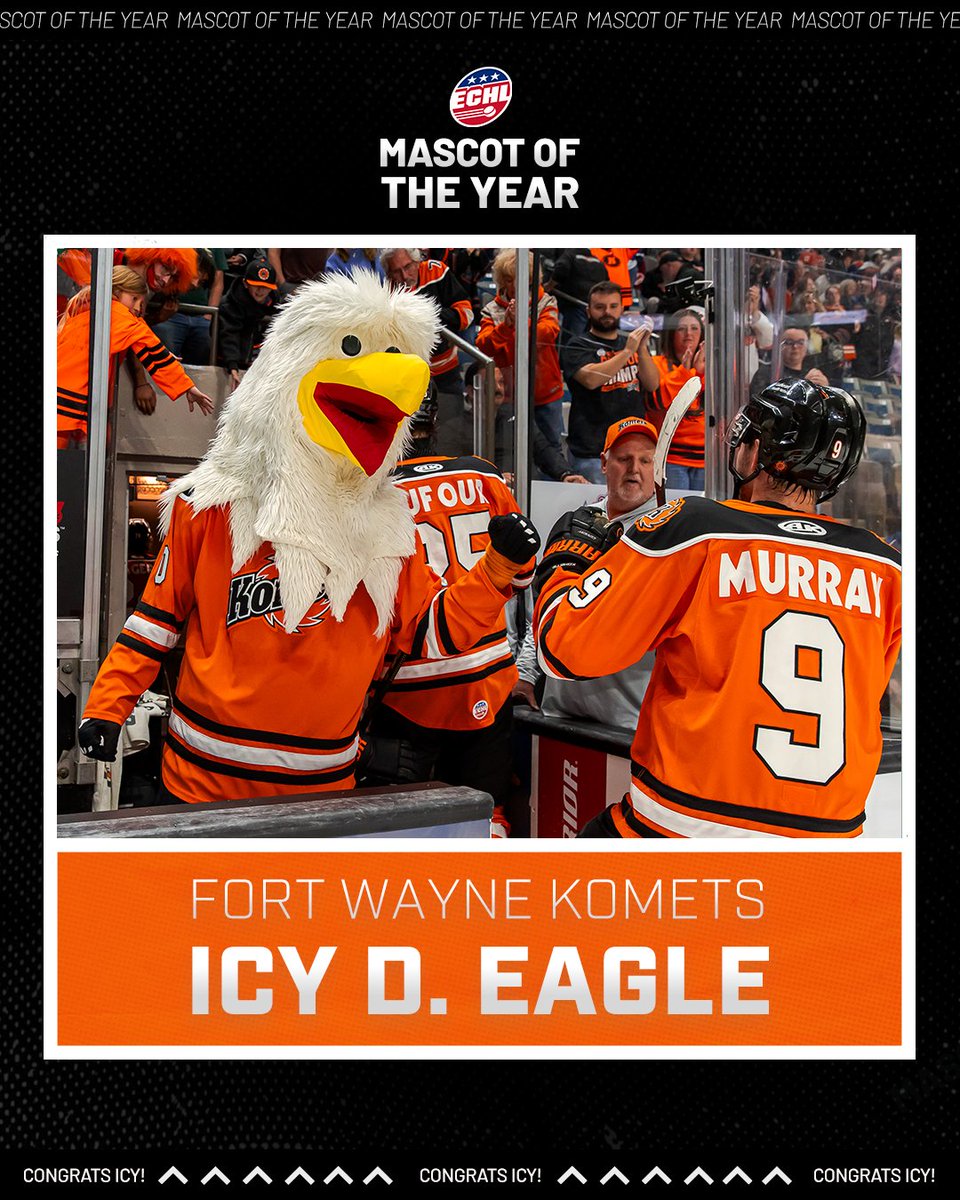 ECHL's tweet photo. ICY SOARS TO THE TITLE! 🦅🏆

The 2025-26 ECHL Mascot of the Year goes to Icy D. Eagle of the Fort Wayne Komets! https://t.co/TAzh2ZhyZz