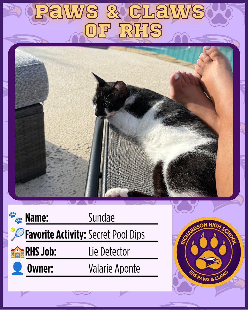 RichardsonHS1's tweet photo. 🐱Meet Sundae! Valarie Aponte's harlequin bicolor cat secretly loves the pool, but she'd never admit it. Duck patrol is her specialty! 💜Life lesson: You're everyone's favorite until someone discovers they're allergic. #EaglesElevate #RISDDreamBig #RISDInsiders #RHSPawsAndClaws https://t.co/mJfIIXqMPK