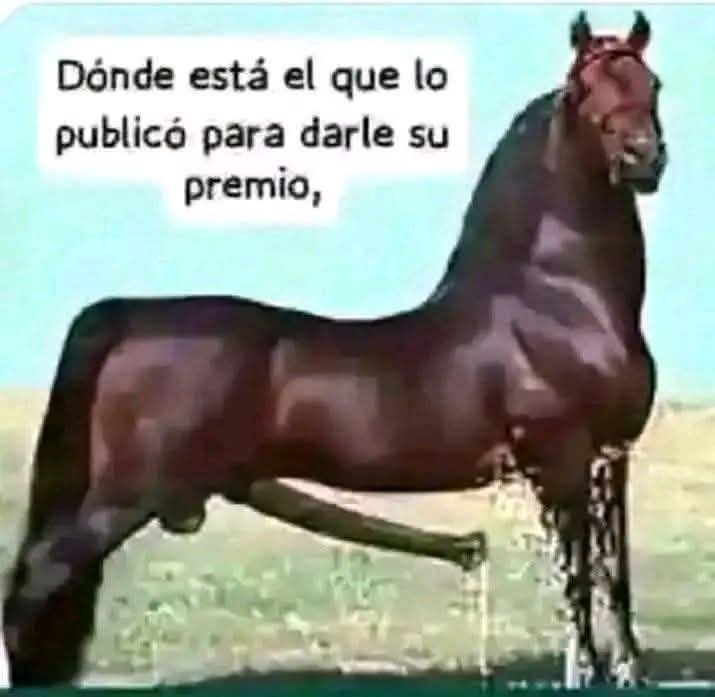 Dipaz14's tweet photo. @el_analista2020 Aquí una LARGA respuesta para tu PROFUNDA ESTUPIDES https://t.co/sFdjbFxWx2