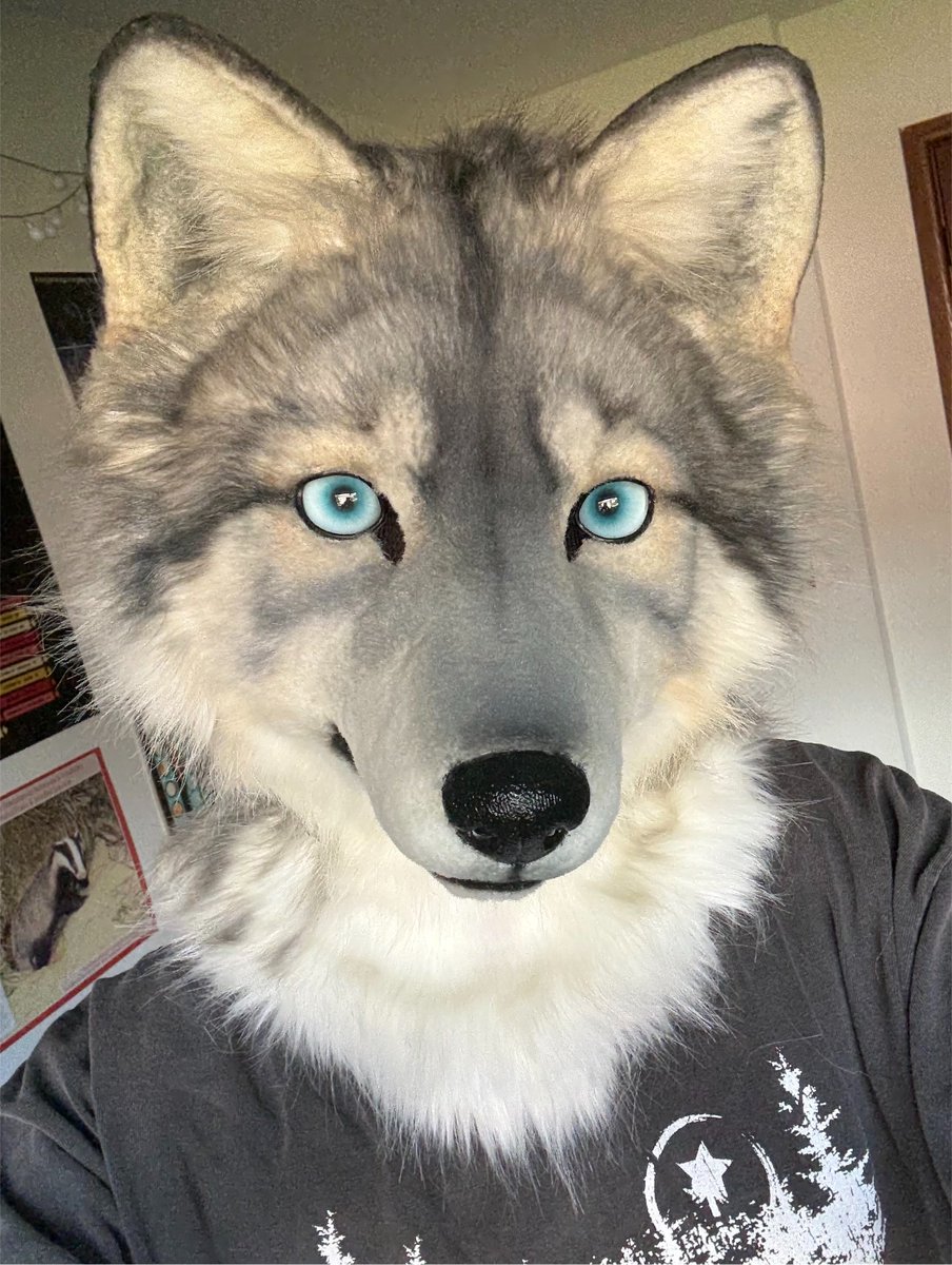 crowflightcat's tweet photo. literally shaking buy him brown contacts pls https://t.co/d2hbd4yVVJ