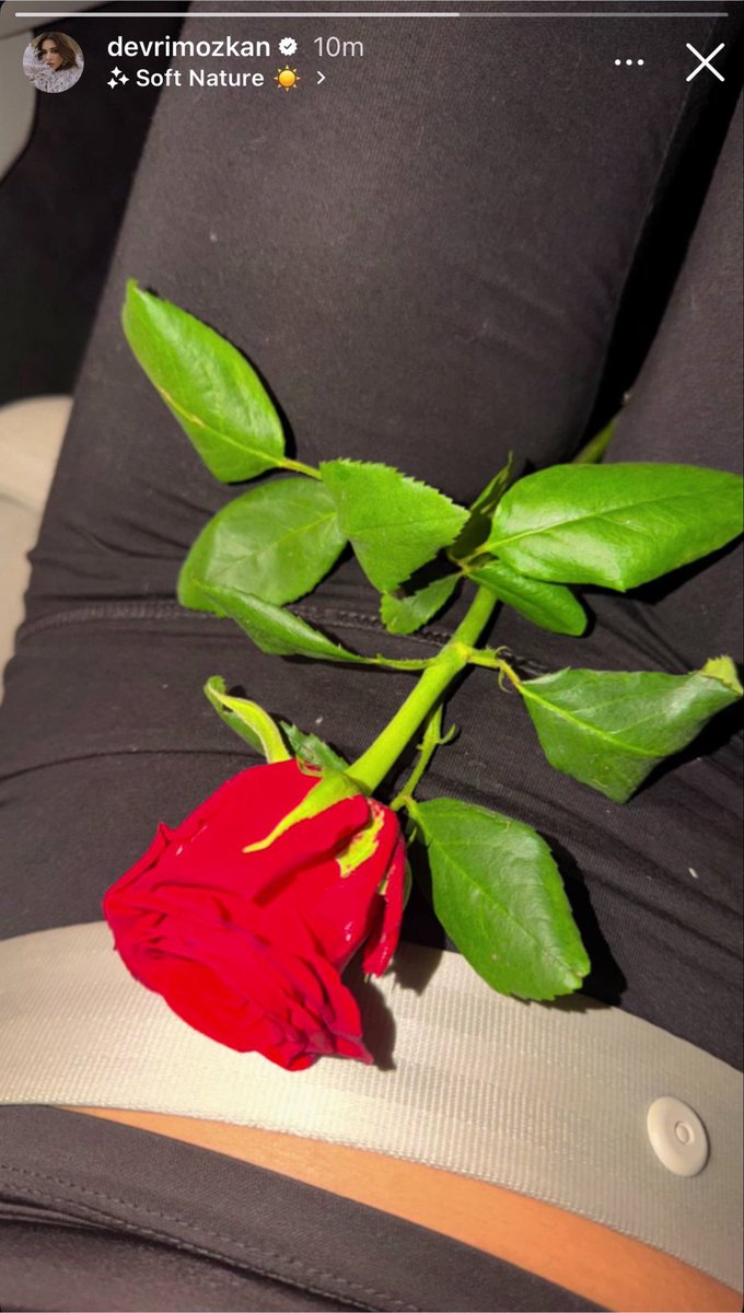 NForughi's tweet photo. Romantik değilim dedikten sonra farklı farklı çiçekler alan erkek 
#DenDev https://t.co/Xtdhj4aclX