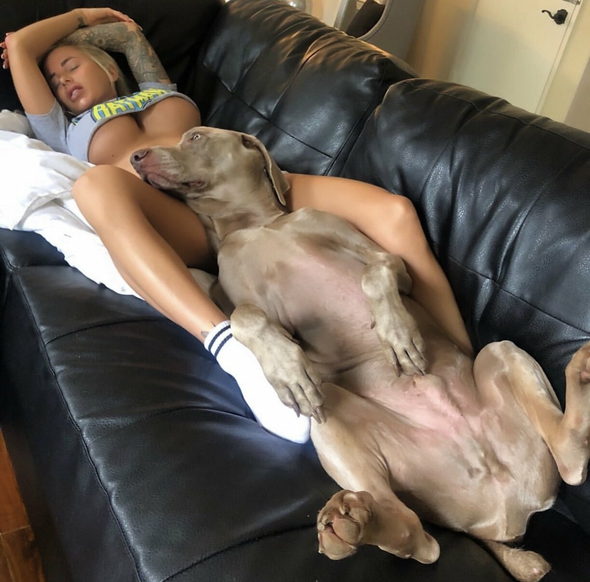 Aminyak9's tweet photo. https://t.co/juEMiST8Ij
#zoophilepride #Bestiality #earthquake #CoolieTrailer #MELAxWILLIAM #Australia #sstvi
He's always on me, curious? Dm🐕🔞
https://t.co/juEMiST8Ij
#zoophillia #zoosarevalid #beastiality #dogknot #zooprideisvalid #zoophile #antizoo #antizoophile #zoopride https://t.co/omarYKWnL8