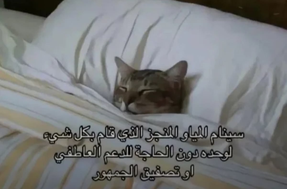 Do3aa2i's tweet photo. جود نايت https://t.co/fxT4ZKv93X