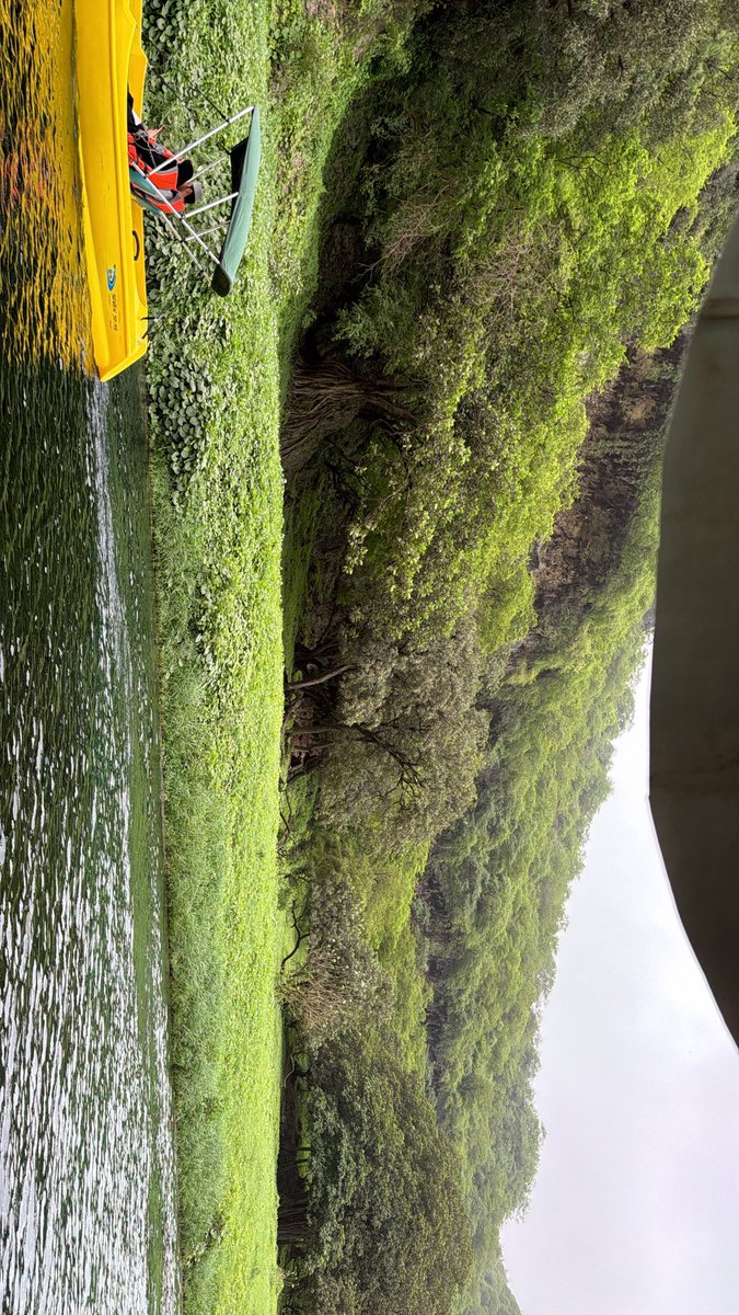 Eng1_saeed's tweet photo. #خريف_ظفار_٢٠٢٦ https://t.co/UxViByyLjG