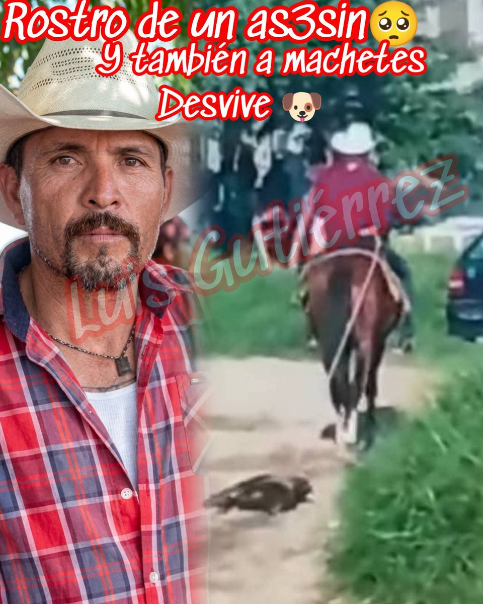 HtTrejo's tweet photo. 🚨 ¡EL ROSTRO DE UN PSICÓPATA EN GUADALAJARA! 🚨

​Sujeto en La Mesa de Colorado es señalado por desvivir de manera salvaje a varios perritos a machetazos y jalones. 🤬🐾

​¡Exigimos justicia inmediata! No podemos permitir que este sujeto siga suelto representando un peligro para todos.

​⚠️ ¡COMPARTE Y HÁZLO VIRAL! Que las autoridades de Jalisco y Guadalajara actúen YA.

Verónica Delgadillo 

 ¡COMPARTE Y HAZLO VIRAL! ​Exígele respuesta a Verónica Delgadillo  aquí https://t.co/fuzaNKBNnx

​#Justicia #Guadalajara #LaMesaDeColorado #NoAlMaltratoAnimal #Jalisco