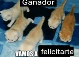 elias3153's tweet photo. @Nany17535337149 @vickespeach https://t.co/lWNSlwLlzz