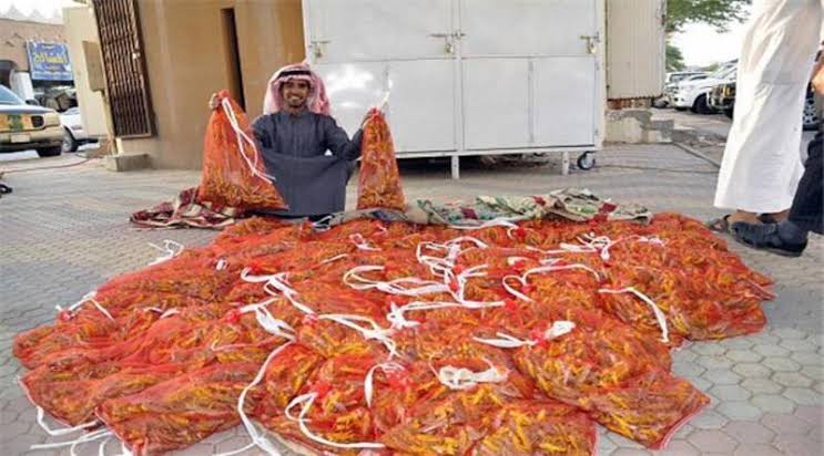 ryan_westt's tweet photo. @_A_khalifa Hey,you filthy,cowardly Arab.First eat the locusts on your father’s farm,then talk about ancient,civilized,noble Iran.Arabs who can’t go to the toilet without permission from their father (Trump) have no right to comment on independent countries that stood strong against the US. https://t.co/QJsRk0tdNI
