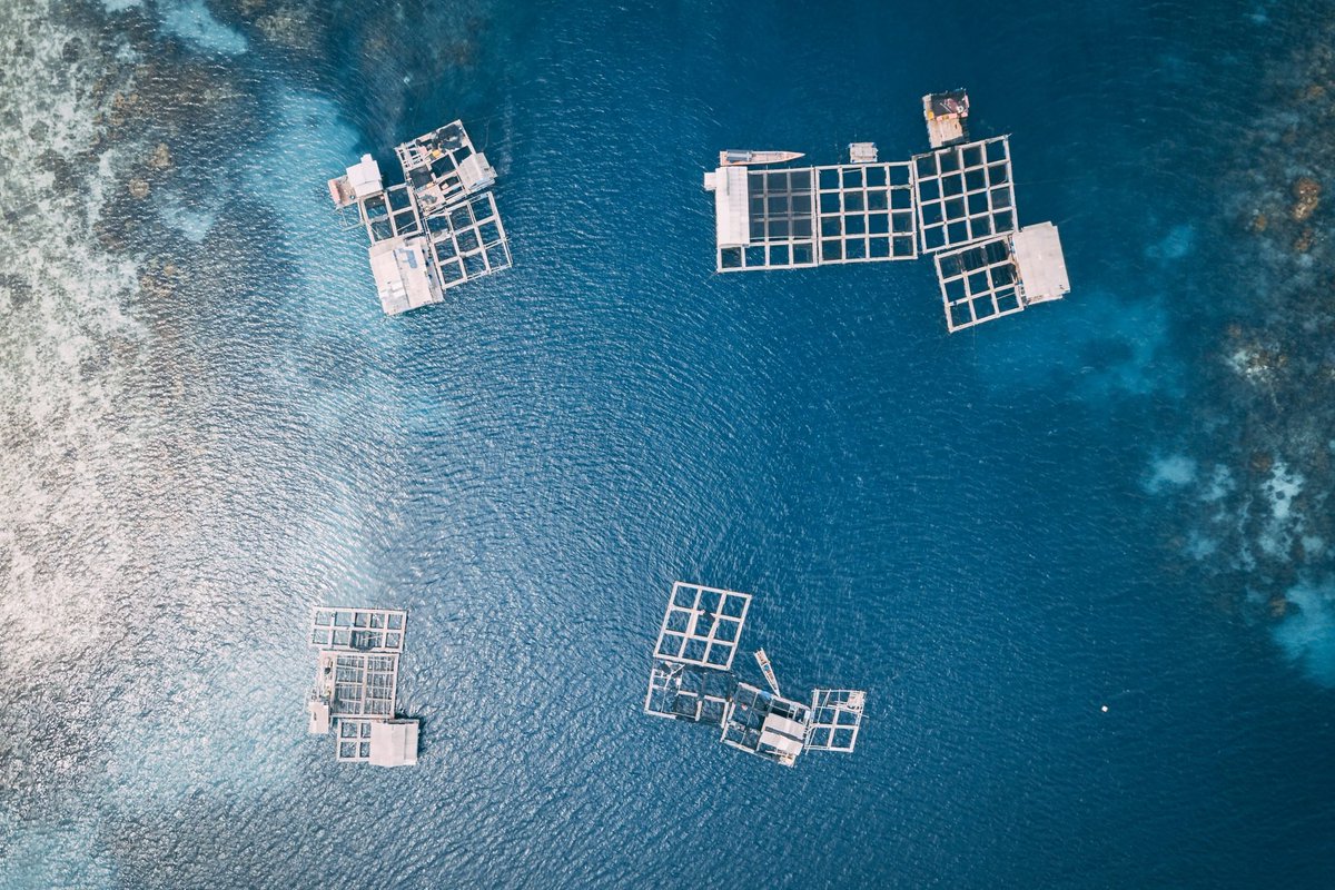 palladiummag's tweet photo. China is Building a Blue Granary

The People’s Republic of China hopes to turn the open ocean into the world’s largest farm. It might not be a bad idea.