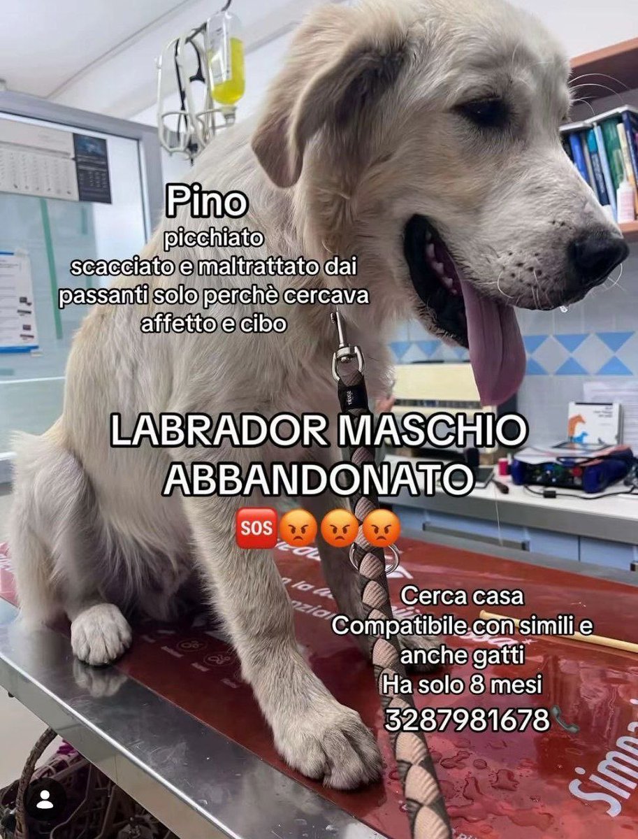 sursumcorda29's tweet photo. Condividete 🙏❤️ https://t.co/UNXmfE6qny