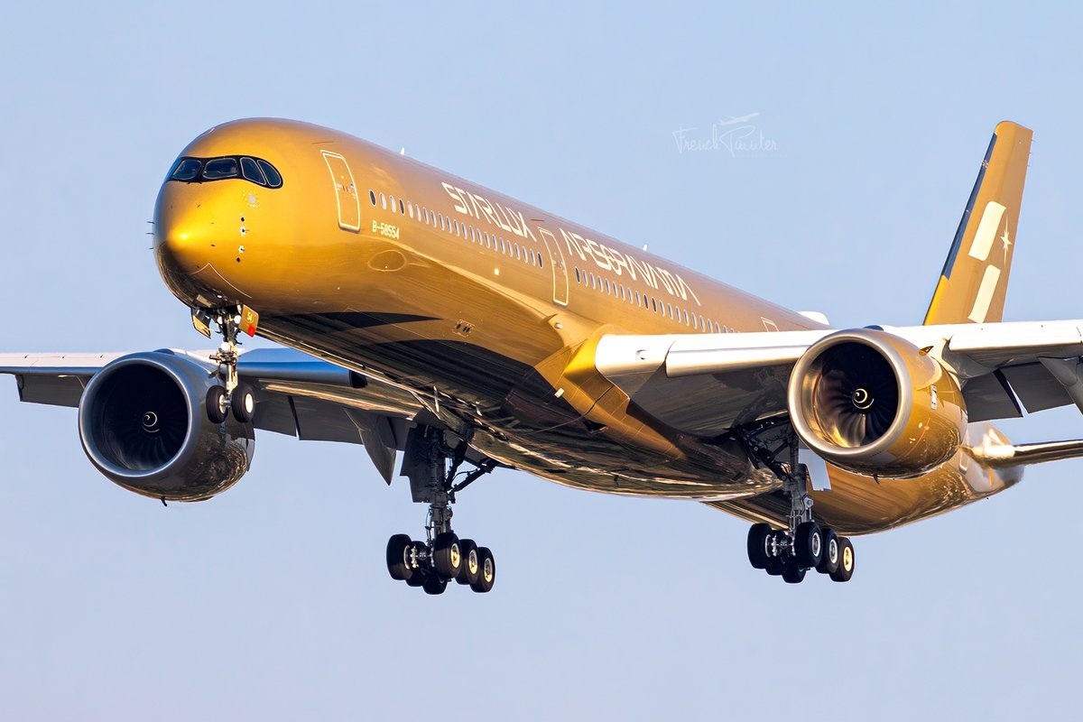 Frenchpainter's tweet photo. #Airbus #A350 Starlux with #Airsorayama gold livery landing in #Toulouse at golden hour after a three-hour photo and video flight over the Pyrenees and the Atlantic coast. 🇹🇼 #Taiwan https://t.co/0eVGlXFf1K